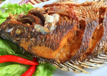 7 Resep Ikan Nila Khas Nusantara Yang Enak dan Sederhana