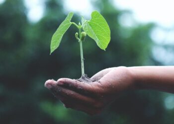 Hari Bumi 2021, Sejarah Awal Earth Day Diperingati