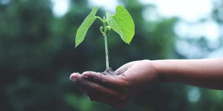 Hari Bumi 2021, Sejarah Awal Earth Day Diperingati