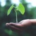 Hari Bumi 2021, Sejarah Awal Earth Day Diperingati