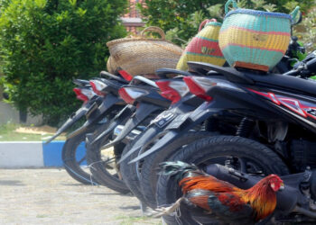 Gerebek Judi, Polisi Tangkap 7 Pelaku Serta Amankan 37 Motor dan 1 Mobil