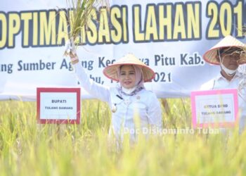 Panen Raya Padi di Rawa Pitu, Winarti Bagikan Ini Kepada Petani