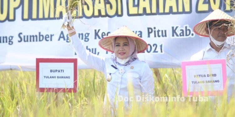 Panen Raya Padi di Rawa Pitu, Winarti Bagikan Ini Kepada Petani