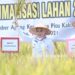 Panen Raya Padi di Rawa Pitu, Winarti Bagikan Ini Kepada Petani