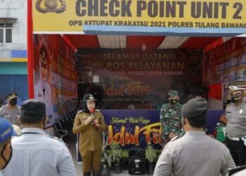 Winarti Tinjau Langsung 4 Pos Mudik Lebaran
