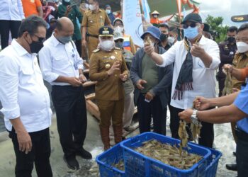 Winarti Sambut Kunker Sakti Wahyu Trenggono di Bumi Dipasena