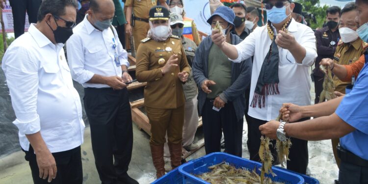 Winarti Sambut Kunker Sakti Wahyu Trenggono di Bumi Dipasena