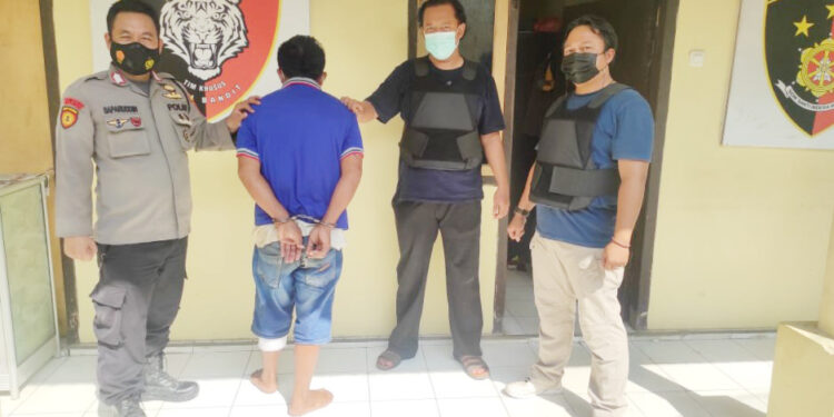 Uang Hasil Menjual Sapi Curian Habis Untuk Taruhan Lomba Burung Dara