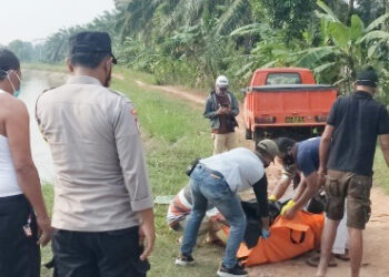 Mayat Anonim Dengan Kondisi Busuk Dikerumuni Belatung dan Sebagian Wajah Rusak Ditemukan Tersangkut