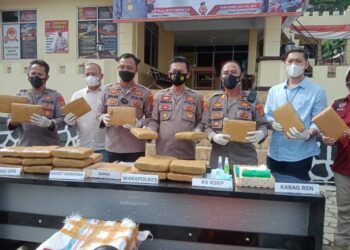 Motif Kebutuhan Ekonomi, Buruh Ini Nekat Jadi Kurir 28 Kg Ganja dan Sudah 13 Kali Beraksi