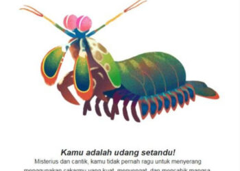 Arti 12 Hewan Yang Muncul Dalam Kuis Hari Bumi