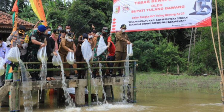 Sambut HUT Tulang Bawang ke-25, Winarti Tebar 25 Ribu Benih Ikan