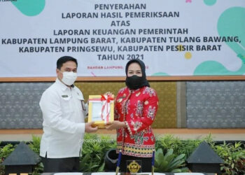 Sabet Penghargaan Dari BPK RI, Winarti: Opini WTP Ke-8 Kali Secara Berturut