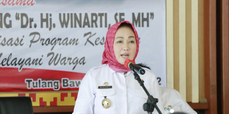 Kabar Gembira, Insentif Perawat Kesehatan di Tulang Bawang Naik